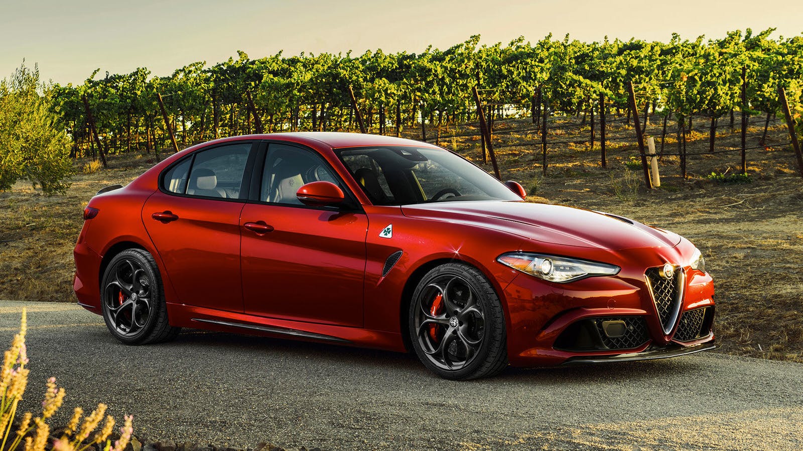 Alfa Romeo Giulia Quadriofoglio Verde Hire